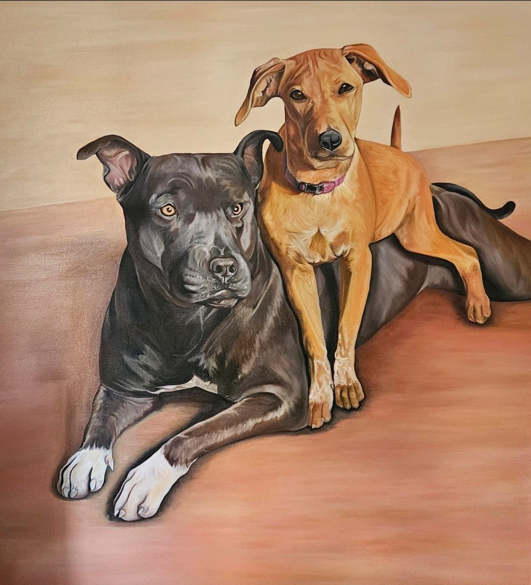 Mi lugar seguro — retrato de dos perros echados sobre un piso naranja.
